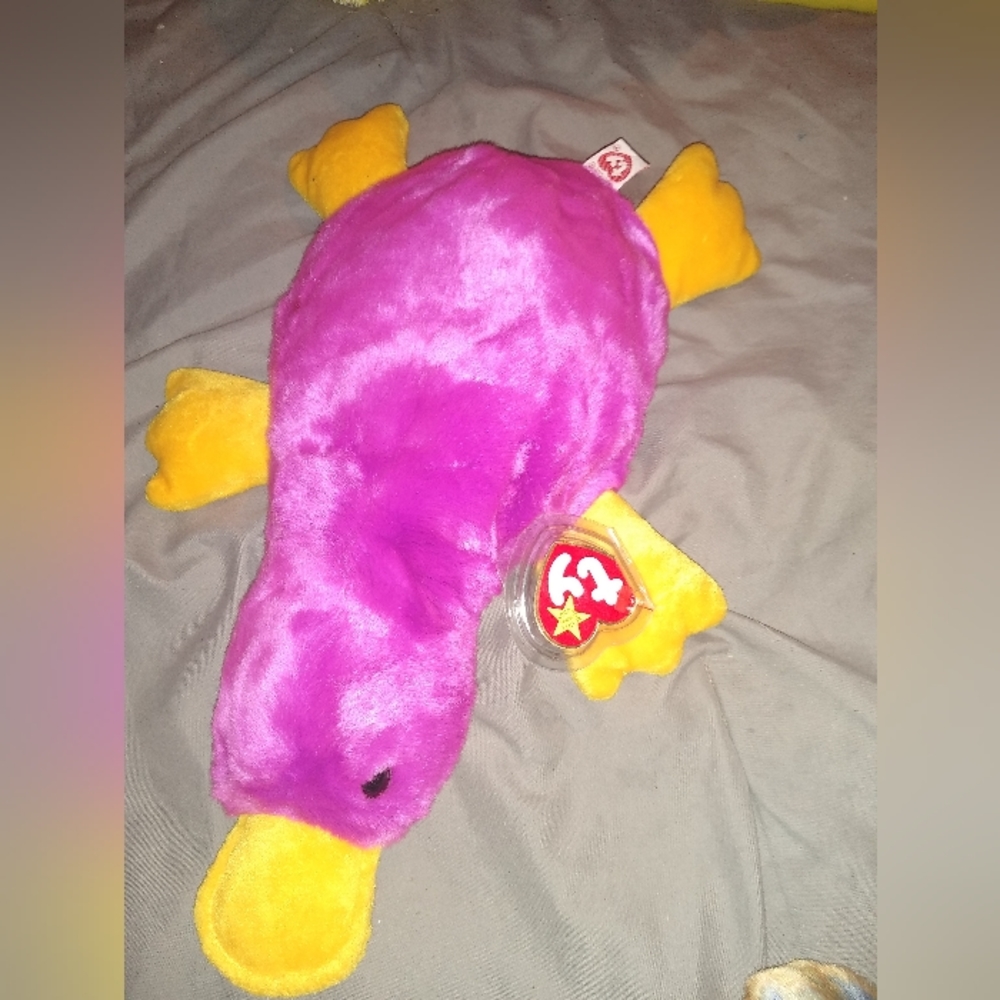 One of the Rarest beanie babies Patti the Platypus